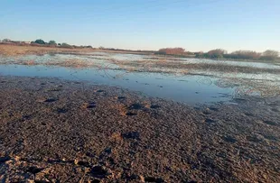 MONITOR DE SECAS REVELA QUE A BAHIA TEVE AUMENTO DA ÁREA TOTAL COM SECA