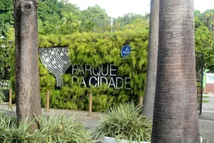 SALVADOR: FESTIVAL NO PARQUE DA CIDADE CELEBRA DIA INTERNACIONAL DA JUVENTUDE NO SÁBADO (12)
