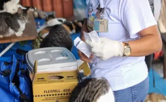 CAMPANHA DE VACINAÇÃO ANTIRRÁBICA TEM AÇÃO ESPECIAL NESTE FIM DE SEMANA
