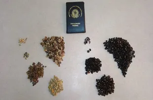 OITO LOTES DE CAFÉ SÃO RECOLHIDOS APÓS INDÍCIOS DE FRAUDE; CONFIRA