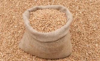 EXPORTAÇÕES DO AGRONEGÓCIO BATEM RECORDE PARA OS MESES DE AGOSTO: US$ 15,63 BILHÕES