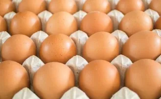 PRODUÇÃO DE OVOS NA BAHIA É A MAIOR EM 36 ANOS, SEGUNDO IBGE