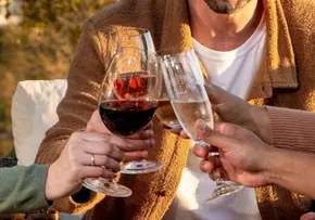 PRODUTORES BRASILEIROS APOSTAM NA PRODUÇÃO DE VINHO SEM ÁLCOOL