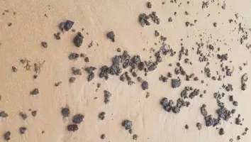 MANCHAS DE ÓLEO SÃO ENCONTRADAS EM PRAIAS DE SALVADOR NESTE DOMINGO (10)