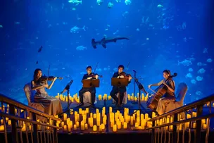 SÉRIE INTERNACIONAL DE CONCERTOS CHEGA A SALVADOR