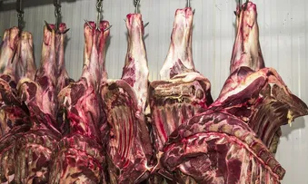BAHIA REGISTRA CRESCIMENTO DE 10,4% NO ABATE DE BOVINOS NO 2º TRIMESTRE