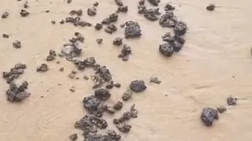 PESQUISADORES DA UFBA IDENTIFICAM ORIGEM DE ÓLEO ACHADO NA PRAIA DA BARRA VEIO DO KUWAIT