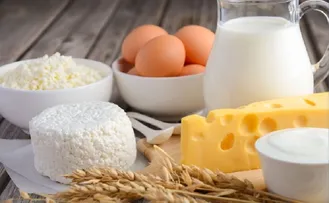 QUEIJO E IOGURTES BAIANOS SÃO PREMIADOS EM CONCURSO NA FRANÇA