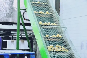 MUCUGÊ PERDE A MAIOR PRODUÇÃO, MAS SEGUE COM O MAIOR VALOR DA BATATA-INGLESA NO PAÍS
