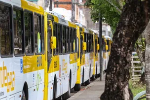 FROTA DE SALVADOR RECEBE FINANCIAMENTO DE R$ 264 MILHÕES DO BNDES PARA VEÍCULOS SUSTENTÁVEIS