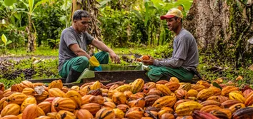 FRUTICULTURA BAIANA É DESTAQUE INTERNACIONAL PELA QUALIDADE