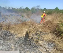 MAIS DE 200 BOMBEIROS ATUAM NO COMBATE A INCÊNDIOS NA BAHIA
