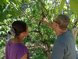 ITABUNA: PREFEITURA CAPACITA AGRICULTORES NA TÉCNICA DA POLINIZAÇÃO