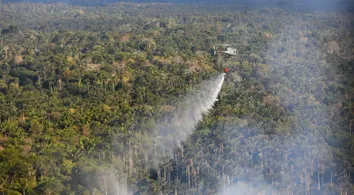 AMAZONAS REGISTRA O PIOR MÊS DE QUEIMADAS, SEGUNDO INPE