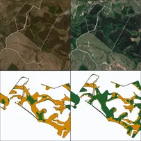BRACELL INOVA COM MONITORAMENTO POR IMAGEM DA REGENERAÇÃO DA VEGETAÇÃO NATIVA
