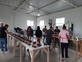 CONCURSO DE QUALIDADE DO CAFÉ VALORIZA AGRICULTURA FAMILIAR DO SUDOESTE BAIANO