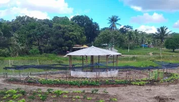 QUILOMBO SUSTENTÁVEL FORMA 18 MULHERES NA PRODUÇÃO DE ALIMENTOS ORGÂNICOS