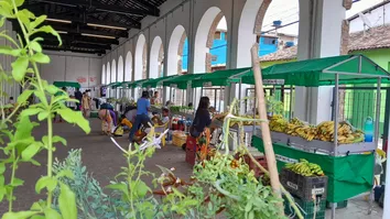 FEIRA DA AGRICULTURA FAMILIAR DE LENÇÓIS AGRADA TURISTAS E GARANTE RENDA PARA AS FAMÍLIAS