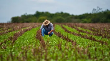 IDE CONSULTORIA ABRE OPORTUNIDADES DE TRABALHO EM DUAS CIDADES BAIANAS; SAIBA MAIS