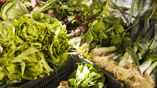 CONAB: PREÇO DAS HORTALIÇAS CAI NOS PRINCIPAIS MERCADOS ATACADISTAS