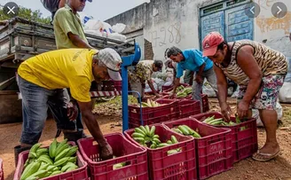 ITABUNA: PREFEITURA DISTRIBUI ALIMENTOS DO PAA PARA INSTITUIÇÕES SOCIOASSISTENCIAIS