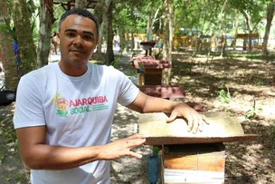 BAHIA GOLDEN BEE CELEBRA A MELIPONICULTURA E A APICULTURA NO LITORAL NORTE DA BAHIA