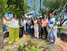 VOTAÇÃO POPULAR PODE IMPLEMENTAR JARDINS DE CHUVA EM ESCOLAS PÚBLICAS
