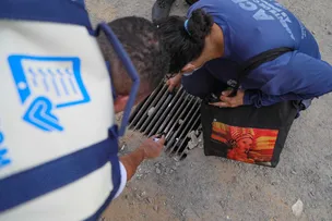 CCZ PROMOVE AÇÃO DE COMBATE ÀS ARBOVIROSES EM CONCEIÇÃO DA PRAIA