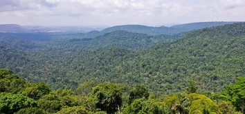 COP28 ESCOLHE BRASIL COMO SEDE DA CONFERÊNCIA DO CLIMA DE 2025