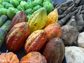 1ª FEIRA AGROECOLÓGICA DA BAHIA VAI LEVAR SABOR E SUSTENTABILIDADE PARA O PARQUE COSTA AZUL