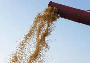 SECA ATRASA PLANTIO DE SOJA NA REGIÃO OESTE DO ESTADO