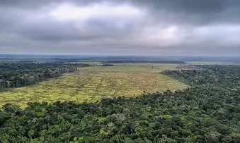 DESMATAMENTO NA AMAZÔNIA REGISTRA MAIOR QUEDA DO ANO EM NOVEMBRO