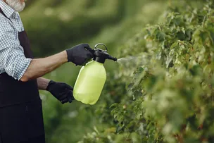 LULA SANCIONA, COM VETOS, LEI QUE ACELERA REGISTRO DE AGROTÓXICOS