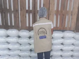 DE OLHO NO VERÃO: VIGILÂNCIA SANITÁRIA FISCALIZA INDÚSTRIAS DE GELO EM SALVADOR