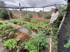 IRAQUARA: QUINTAIS PRODUTIVOS TRAZEM RENDA E AUTOESTIMA A MULHERES AGRICULTORAS
