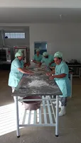 RIACHO DE SANTANA: REFORMA DE AGROINDÚSTRIA FAMILIAR GERA AUMENTO NAS VENDAS DE DERIVADOS DA MANDIOCA