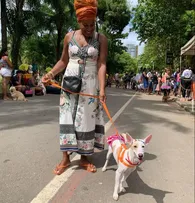SECRETARIA DE PROTEÇÃO ANIMAL CHAMA ATENÇÃO PARA CUIDADOS COM ANIMAIS DURANTE CARNAVAL