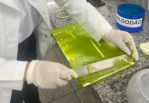 ESTUDANTES DA REDE ESTADUAL DO INTERIOR DA BAHIA DESENVOLVEM SACOLAS DE BIOPLÁSTICO FEITO COM SISAL