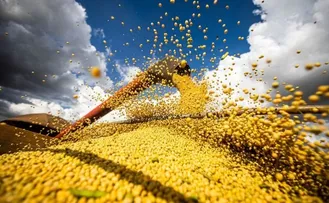 EM JANEIRO, PRIMEIRA ESTIMATIVA PARA A SAFRA BAIANA DE GRÃOS EM 2024 É DE QUEDA DE -9,1% FRENTE AO RECORDE DE 2023