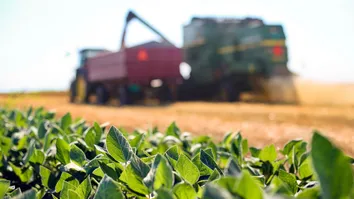 BAHIA LIDERA EXPORTAÇÕES DO AGRO NO NORDESTE EM JANEIRO, COM UM TOTAL DE US$ 521,4 MILHÕES