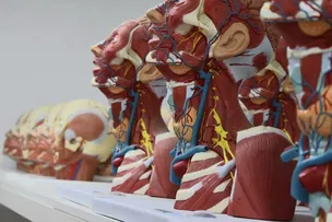 ÚLTIMOS CINCO DIAS PARA SE INSCREVER NO VESTIBULAR DE MEDICINA DA PITÁGORAS E DA UNIME