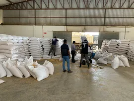 GOVERNO SEGUE COM DISTRIBUIÇÃO DE SACAS DE MILHO PARA ASSEGURAR ALIMENTAÇÃO PARA REBANHOS DE AGRICULTORES FAMILIARES