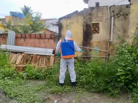SALVADOR TEM 144 BAIRROS COM ALTA INFESTAÇÃO DO AEDES AEGYPTI