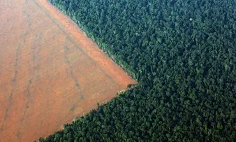 SUDENE E MINISTÉRIO DO MEIO AMBIENTE DISCUTEM PARCERIA PARA COMBATE À DESERTIFICAÇÃO