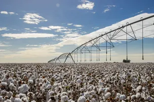 CERTIFICAÇÃO AMBIENTAL FAVORECE ACESSO DA PRODUÇÃO AO MERCADO EXTERNO