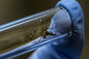 CCZ INTENSIFICA COMBATE À DENGUE NESTA QUINTA-FEIRA (21)