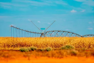 PIB DO AGRONEGÓCIO BAIANO CRESCE 4,2% E ALCANÇA TOTAL DE R$ 88,66 BI, DIZ SEI