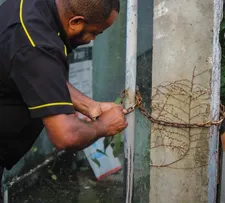 AÇÃO CHAVEIRO PERMITE INSPEÇÃO DE IMÓVEIS ABANDONADOS PARA COMBATE AO AEDES EM SALVADOR