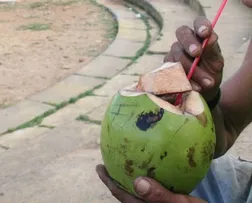 LEI PROÍBE FORNECIMENTO DE CANUDOS DE PLÁSTICO EM SALVADOR, COM MULTA QUE PODE CHEGAR A R$ 8 MIL