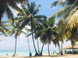 TURISMO NA BAHIA CRESCE EM JANEIRO 2,7% FRENTE AO MÊS ANTERIOR